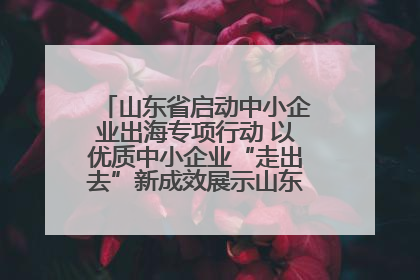 山东省启动中小企业出海专项行动 以优质中小企业“走出去”新成效展示山东产业发展新形象