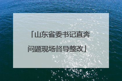 山东省委书记直奔问题现场督导整改