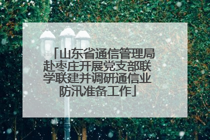 山东省通信管理局赴枣庄开展党支部联学联建并调研通信业防汛准备工作