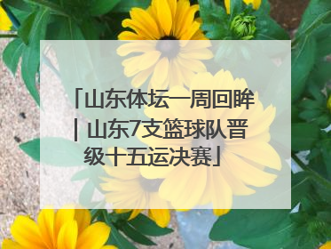 山东体坛一周回眸｜山东7支篮球队晋级十五运决赛