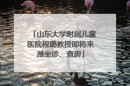 山东大学附属儿童医院程璐教授即将来潍坐诊、查房