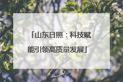 山东日照：科技赋能引领高质量发展