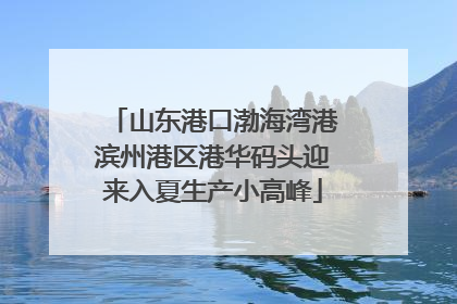 山东港口渤海湾港滨州港区港华码头迎来入夏生产小高峰