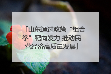 山东通过政策“组合拳”靶向发力 推动民营经济高质量发展