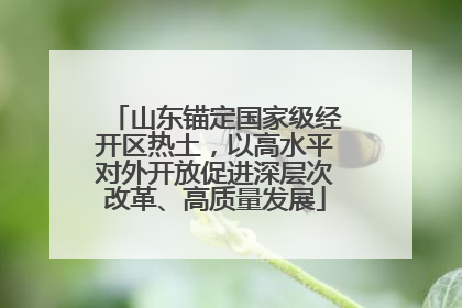 山东锚定国家级经开区热土，以高水平对外开放促进深层次改革、高质量发展