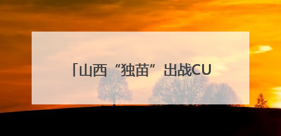 山西“独苗”出战CUBAL女子组全国赛 财大女篮全力冲击八强