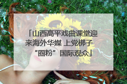 山西高平戏曲课堂迎来海外华媒 上党梆子“圈粉”国际观众