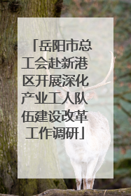 岳阳市总工会赴新港区开展深化产业工人队伍建设改革工作调研