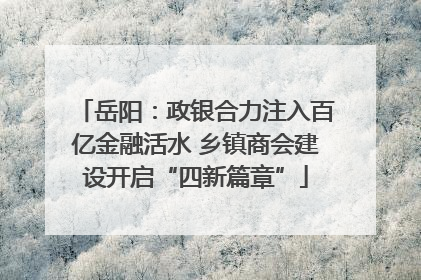 岳阳：政银合力注入百亿金融活水 乡镇商会建设开启“四新篇章”