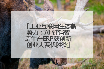工业互联网生态新势力：AI 钉铛智造生产ERP获创新创业大赛优胜奖