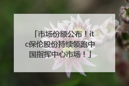 市场份额公布！itc保伦股份持续领跑中国指挥中心市场！