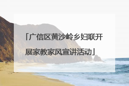 广信区黄沙岭乡妇联开展家教家风宣讲活动