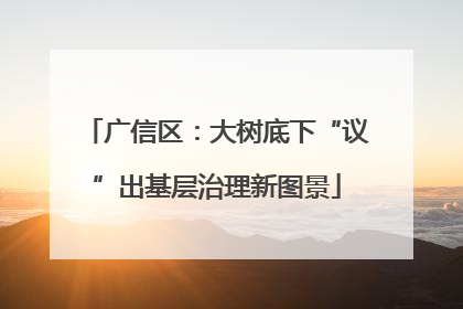 广信区：大树底下“议”出基层治理新图景