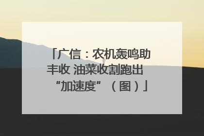 广信：农机轰鸣助丰收 油菜收割跑出“加速度”（图）