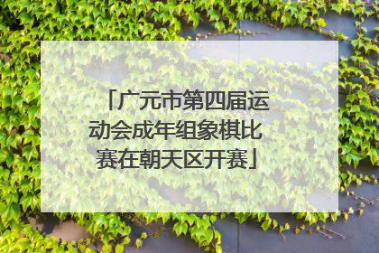 广元市第四届运动会成年组象棋比赛在朝天区开赛