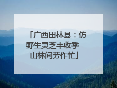 广西田林县：仿野生灵芝丰收季 山林间劳作忙