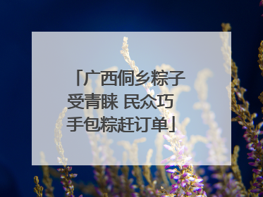 广西侗乡粽子受青睐 民众巧手包粽赶订单