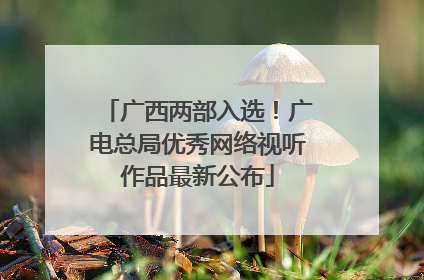 广西两部入选！广电总局优秀网络视听作品最新公布