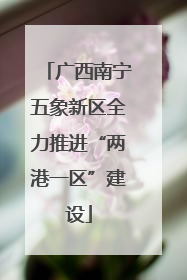 广西南宁五象新区全力推进“两港一区”建设