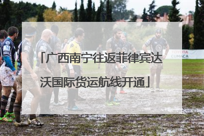 广西南宁往返菲律宾达沃国际货运航线开通