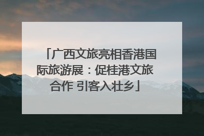 广西文旅亮相香港国际旅游展：促桂港文旅合作 引客入壮乡