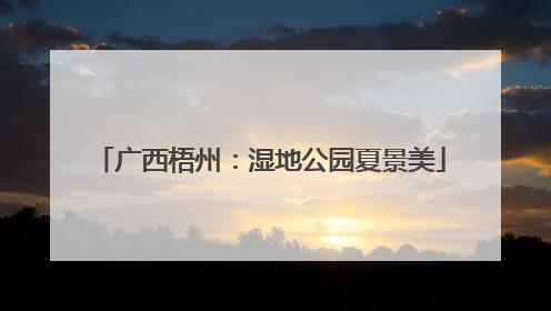 广西梧州：湿地公园夏景美