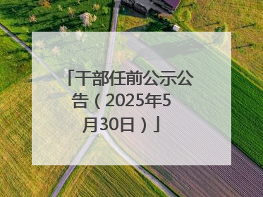 干部任前公示公告（2025年5月30日）