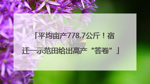 平均亩产778.7公斤！宿迁一示范田给出高产“答卷”