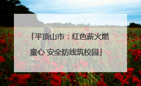 平顶山市：红色薪火燃童心 安全防线筑校园
