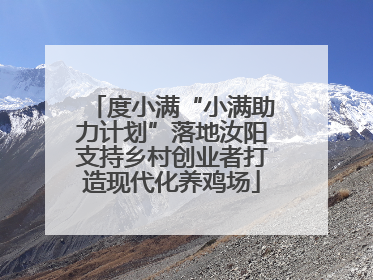 度小满“小满助力计划”落地汝阳支持乡村创业者打造现代化养鸡场