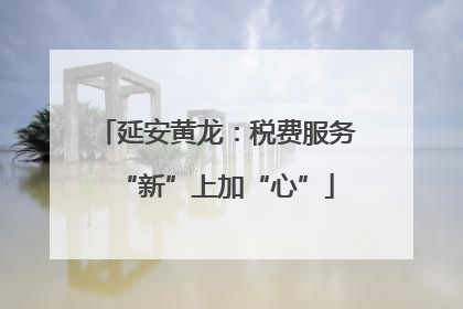 延安黄龙：税费服务“新”上加“心”