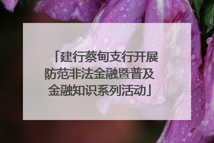 建行蔡甸支行开展防范非法金融暨普及金融知识系列活动