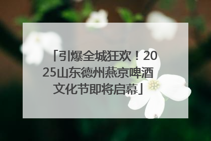 引爆全城狂欢！2025山东德州燕京啤酒文化节即将启幕