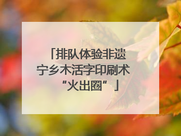 排队体验非遗 宁乡木活字印刷术“火出圈”