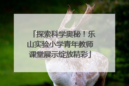 探索科学奥秘！乐山实验小学青年教师课堂展示绽放精彩