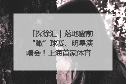 探徐汇｜落地窗前“瞰”球赛、明星演唱会！上海首家体育特色高端酒店亮相