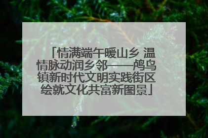 情满端午暖山乡 温情脉动润乡邻——鸬鸟镇新时代文明实践街区绘就文化共富新图景
