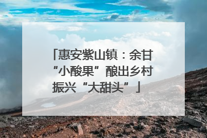 惠安紫山镇：余甘“小酸果”酿出乡村振兴“大甜头”