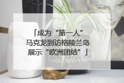 成为“第一人” 马克龙到访格陵兰岛展示“欧洲团结”