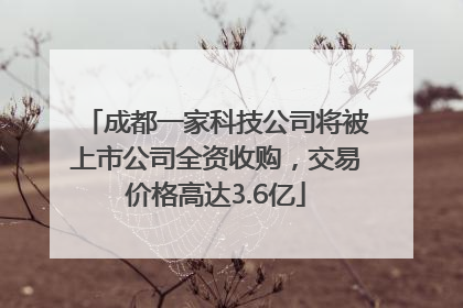 成都一家科技公司将被上市公司全资收购，交易价格高达3.6亿
