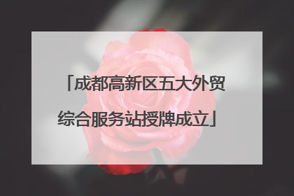 成都高新区五大外贸综合服务站授牌成立