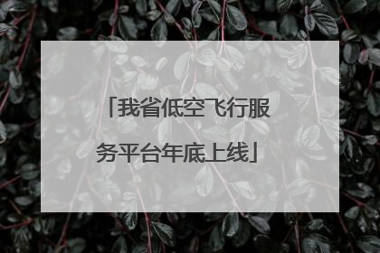 我省低空飞行服务平台年底上线