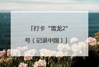 打卡“雪龙2”号（记录中国）