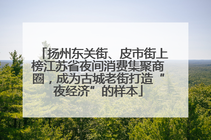 扬州东关街、皮市街上榜江苏省夜间消费集聚商圈，成为古城老街打造“夜经济”的样本
