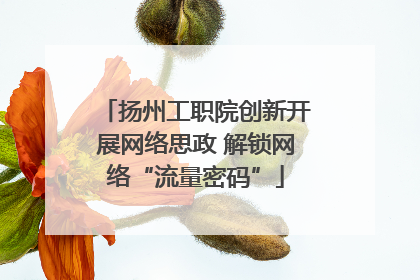 扬州工职院创新开展网络思政 解锁网络“流量密码”