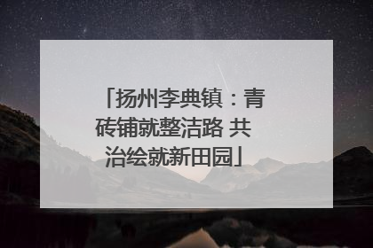 扬州李典镇：青砖铺就整洁路 共治绘就新田园