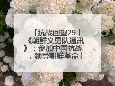 抗战回望29︱《朝鲜义勇队通讯》：参加中国抗战，领导朝鲜革命
