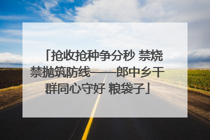 抢收抢种争分秒 禁烧禁抛筑防线——郎中乡干群同心守好 粮袋子