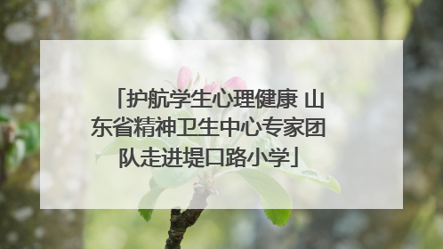 护航学生心理健康 山东省精神卫生中心专家团队走进堤口路小学
