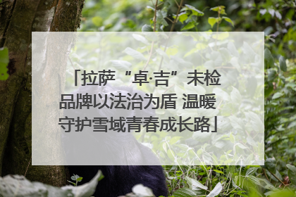 拉萨“卓·吉”未检品牌以法治为盾 温暖守护雪域青春成长路